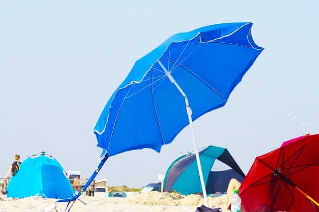Sonnenschirm und Strandmuscheln Sonnenschirm und Strandmuscheln