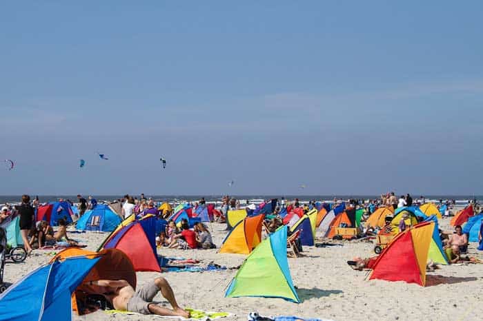 Strandmuscheln
